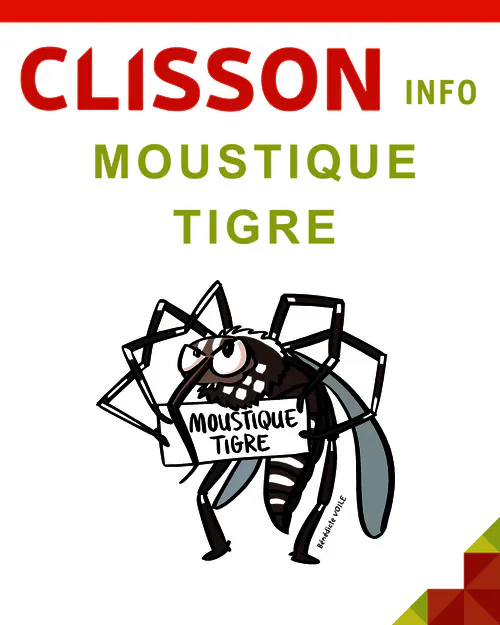 [PREVENTION] Surveillance du Moustique Tigre