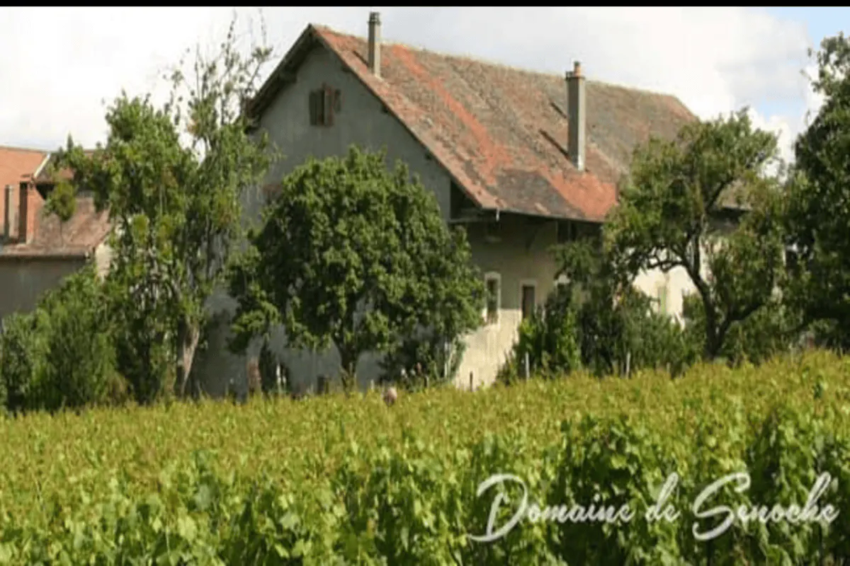 Le Domaine de Senoche bouge en Novembre !
