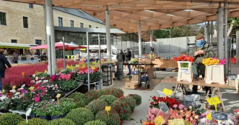 Les marchés sont nombreux cet été à Courseulles ! - Site officiel de la Ville de Courseulles-sur-Mer