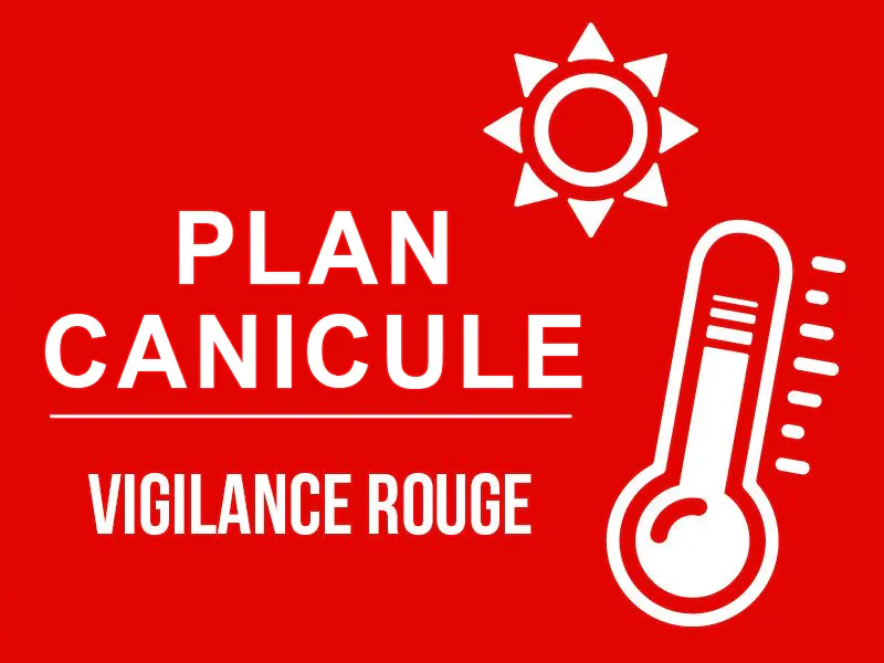 PLAN CANICULE