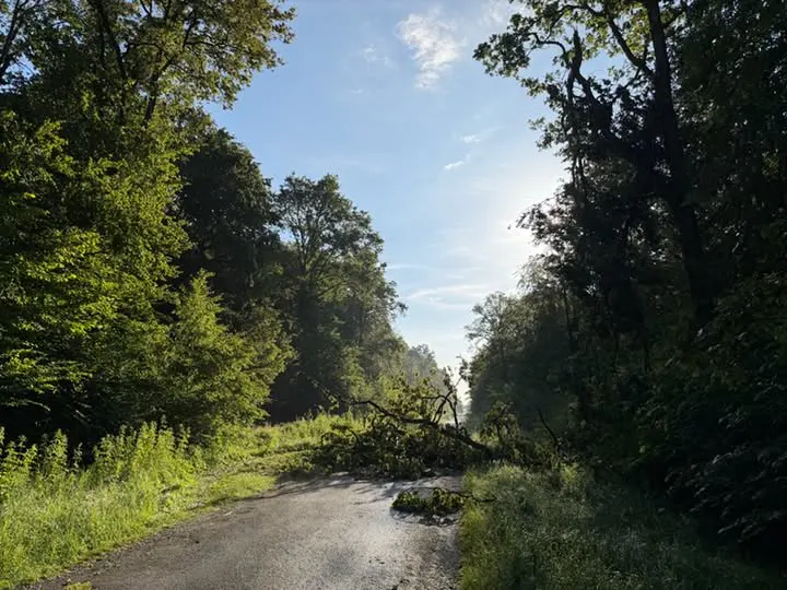 Attention : fermeture des sentiers de la forêt de l’abbé Val Joly.