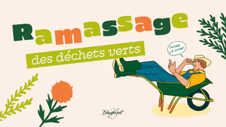 Tout ce qu’il faut savoir
