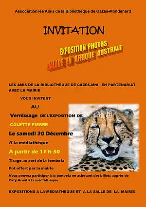 Vernissage expo Photos Afrique