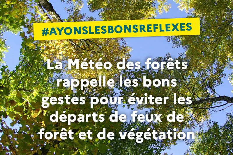 Challes les Eaux: Prévention : attention aux feux de forêt