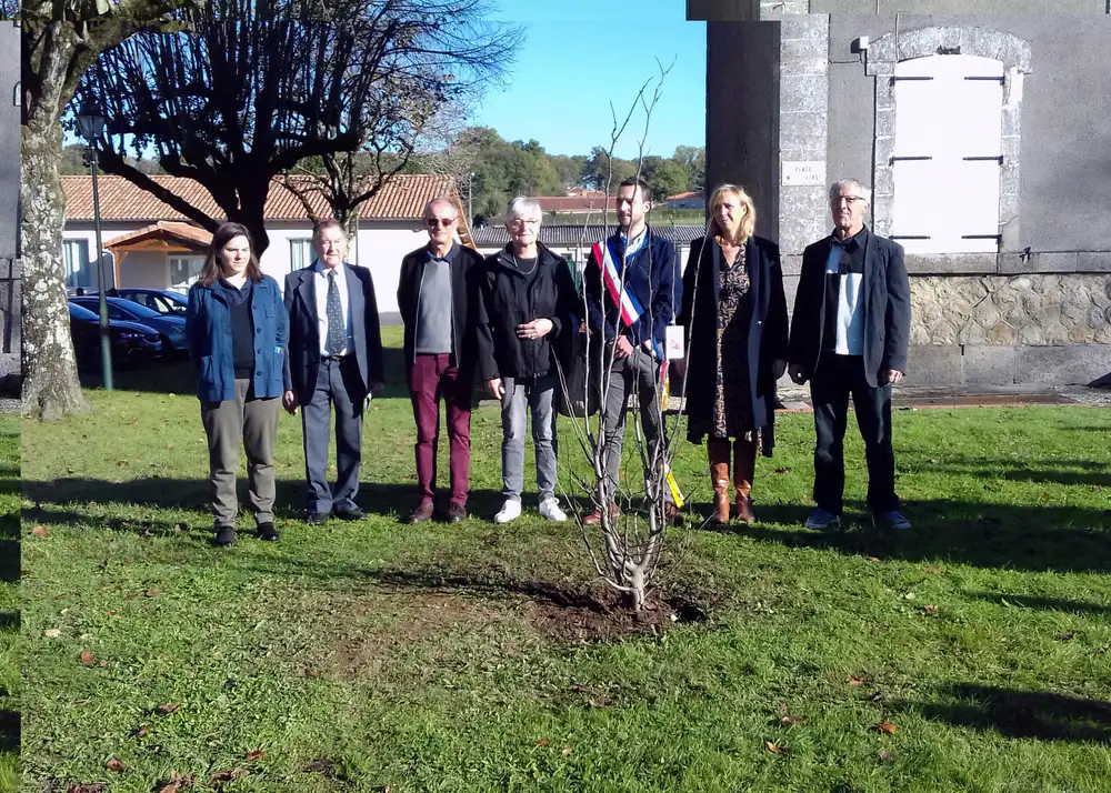 Plantation de l’arbre en hommage à M. Jean-Claude BUISSON
