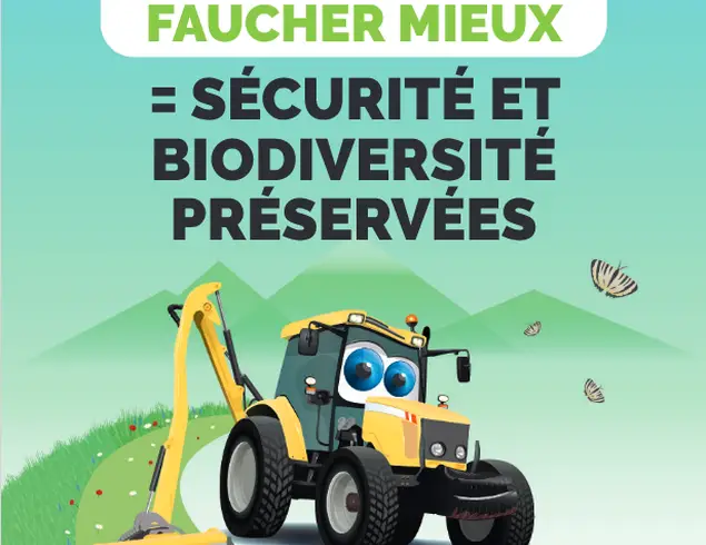 ENTRETIEN DES DÉPENDANCES VERTES