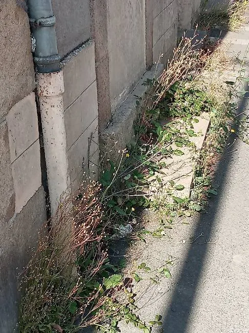 🌿 Avis à nos chers trottoirs… ils aimeraient prendre un petit coup de propre ! 🧹