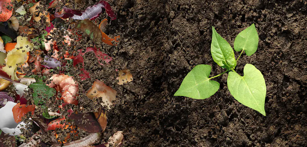 En mars : distribution gratuite de compost au centre de recyclage de Limoges Métropole