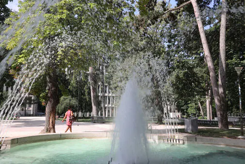 Canicule : comprendre les niveaux d’alerte et adopter les bons réflexes
