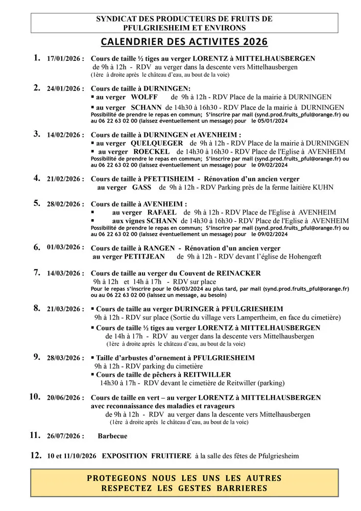 Cours de taille