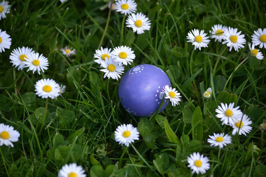 Retour chasse aux oeufs