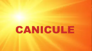 Attention aux fortes chaleurs- vigilance ORANGE CANICULE