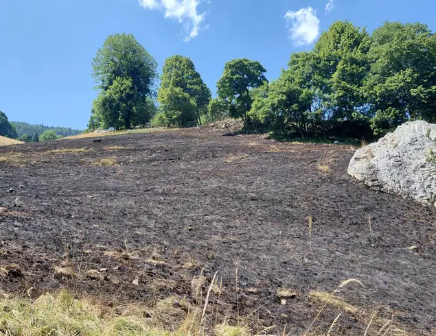 Vigilance incendie