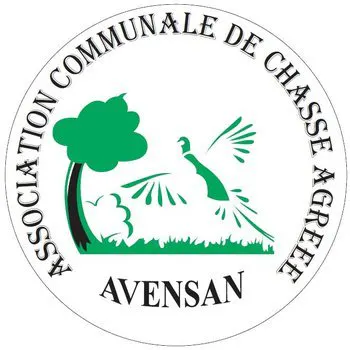 🐗 Avis à tous les chasseurs d'Avensan !