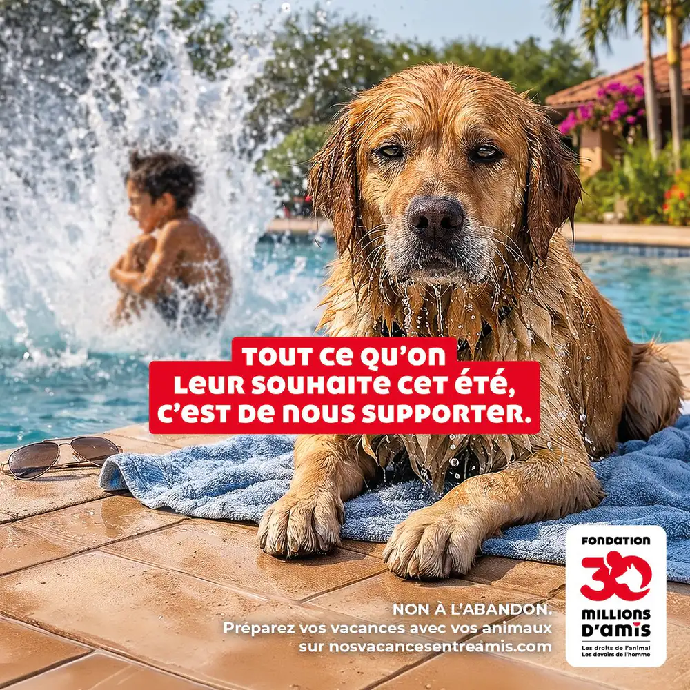 Préparez vos vacances avec vos animaux