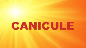 VIGILANCE ORANGE CANICULE
