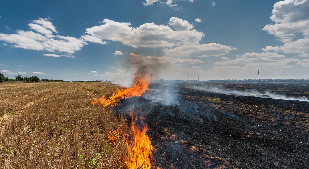 Risques d&#8217;incendies : interdiction des feux d&#8217;artifices et gestes préventifs