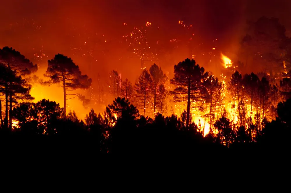 Vigilance Orange : feu de forêt