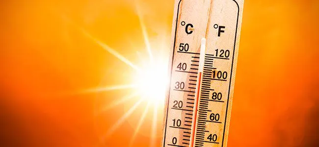 Vigilance canicule