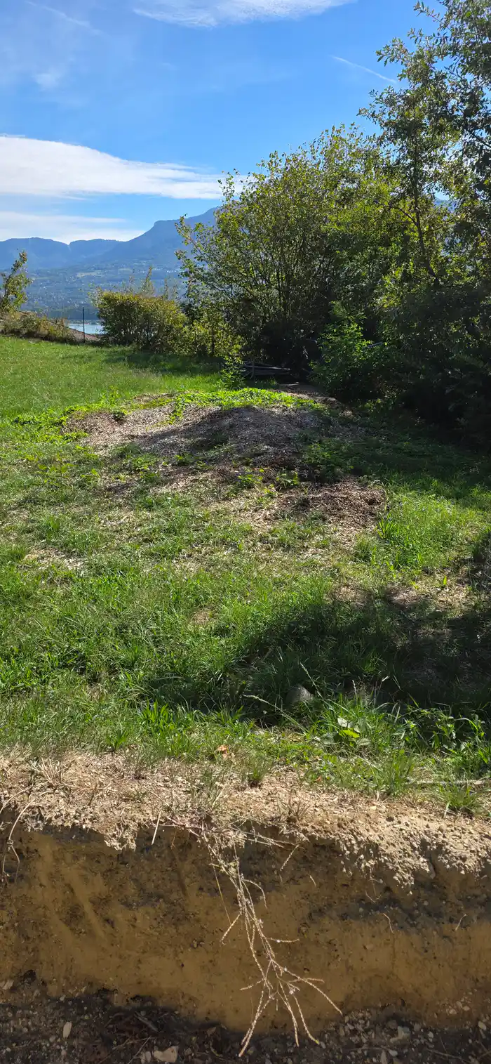 Broyat de déchets verts pour compost ou autre...