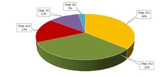 Budget 2026