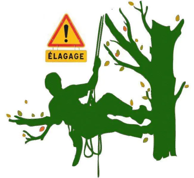 Enedis - Travaux d'élagage