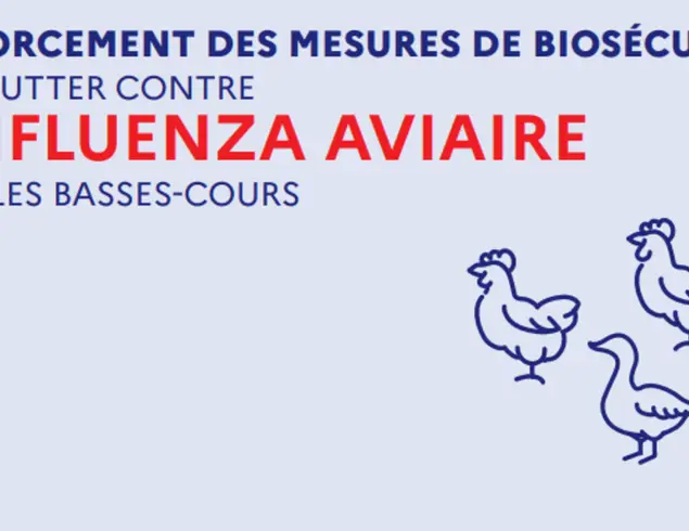 INFLUENZA AVIAIRE – risque élevé