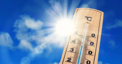 PLAN CANICULE 2026 : la Ville de Crosne se mobilise - Site officiel de la Ville de Crosne