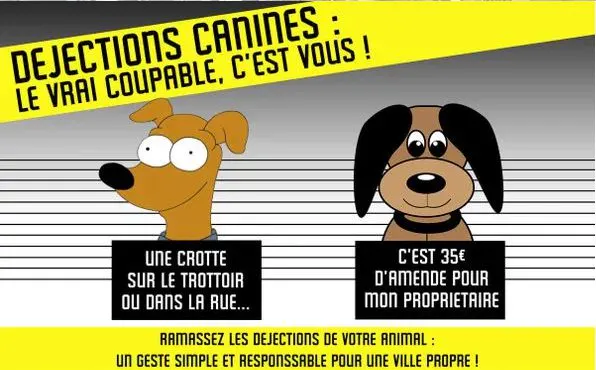 Déjections canines