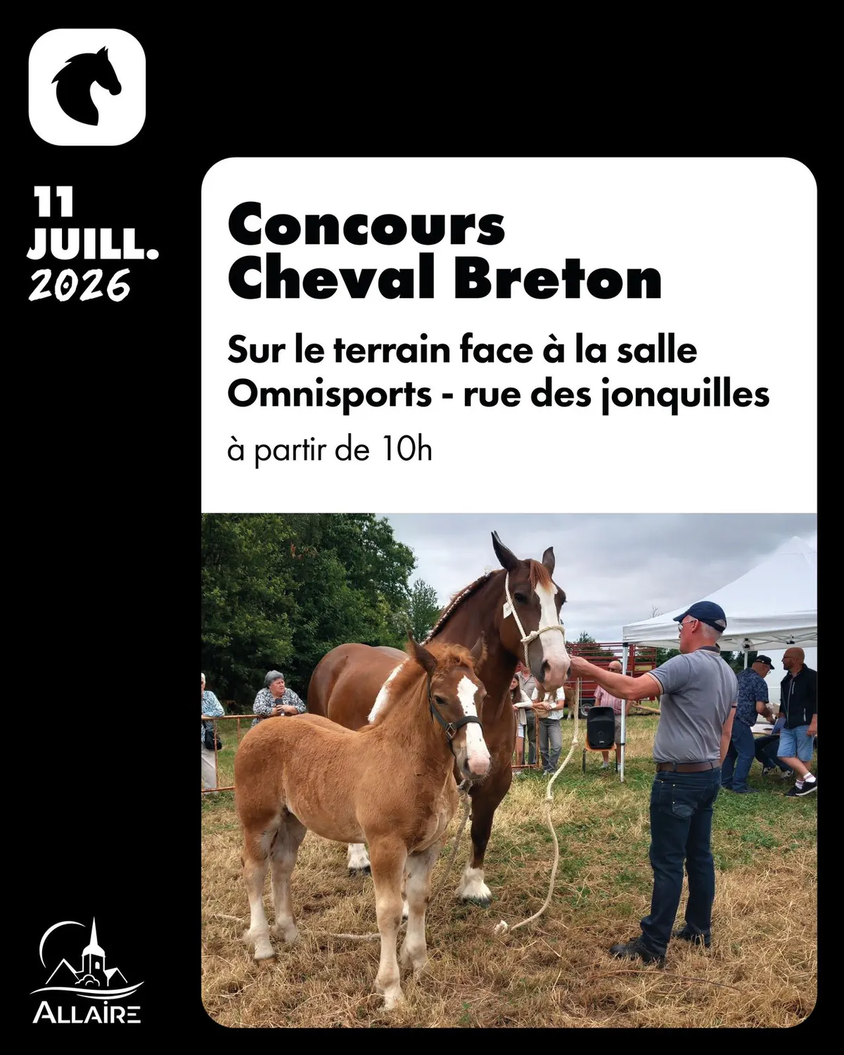 Concours Cheval Breton