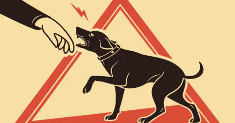 Chien violent : ordonnance d’euthanasie à Cugnaux