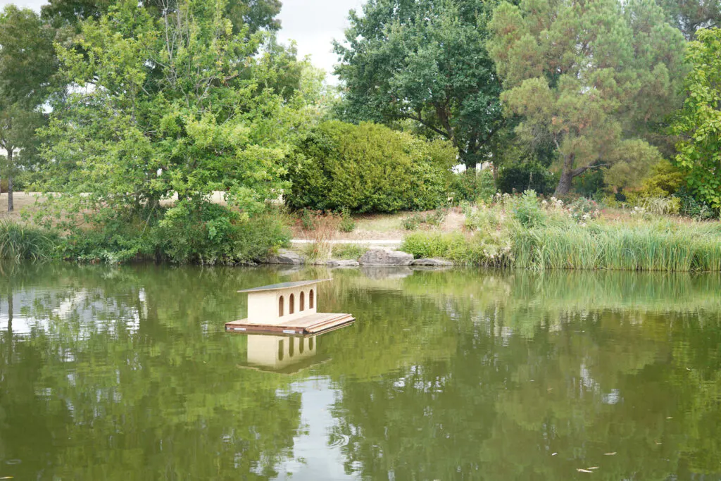 Budget participatif : installation de l’abri pour canards