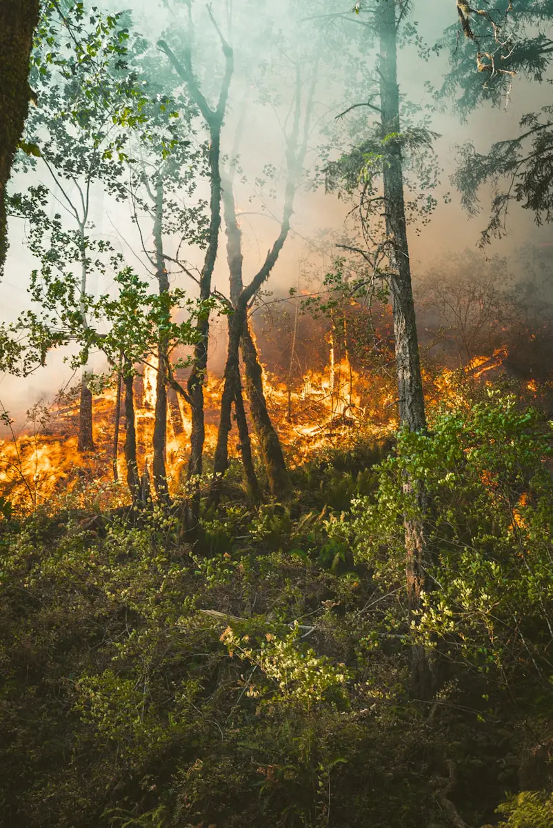 Canicule et risque élevé d&#8217;incendie