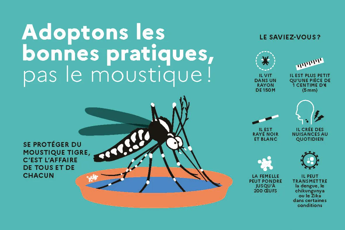 Prévention moustiques : agir ensemble pour un été serein