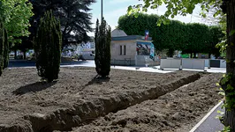 Actualité