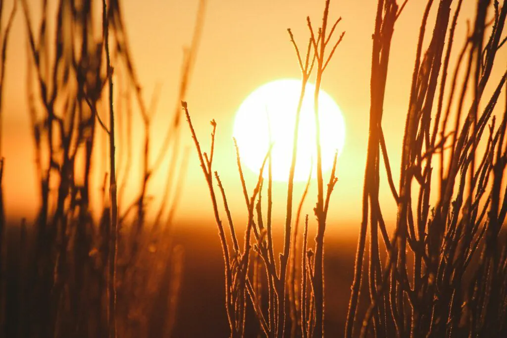 Plan canicule : la ville à vos côtés