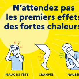 VIGILANCE CANICULE