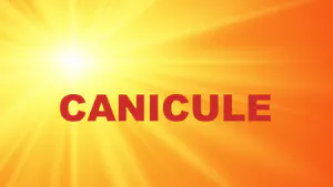 VIGILANCE ORANGE CANICULE