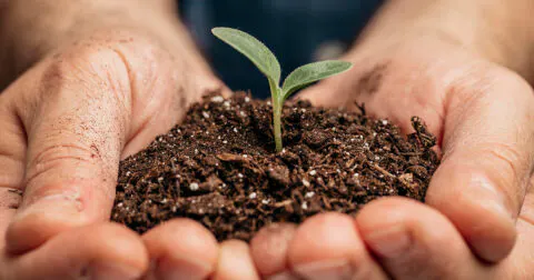 Rapport développement durable 2025