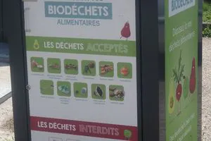 Bac à biodéchets alimentaires