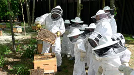 Environnement