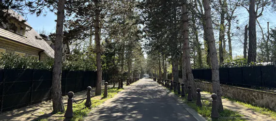 Travaux sur l’avenue des Sapins