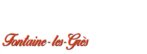 Séances de Conseil municipal