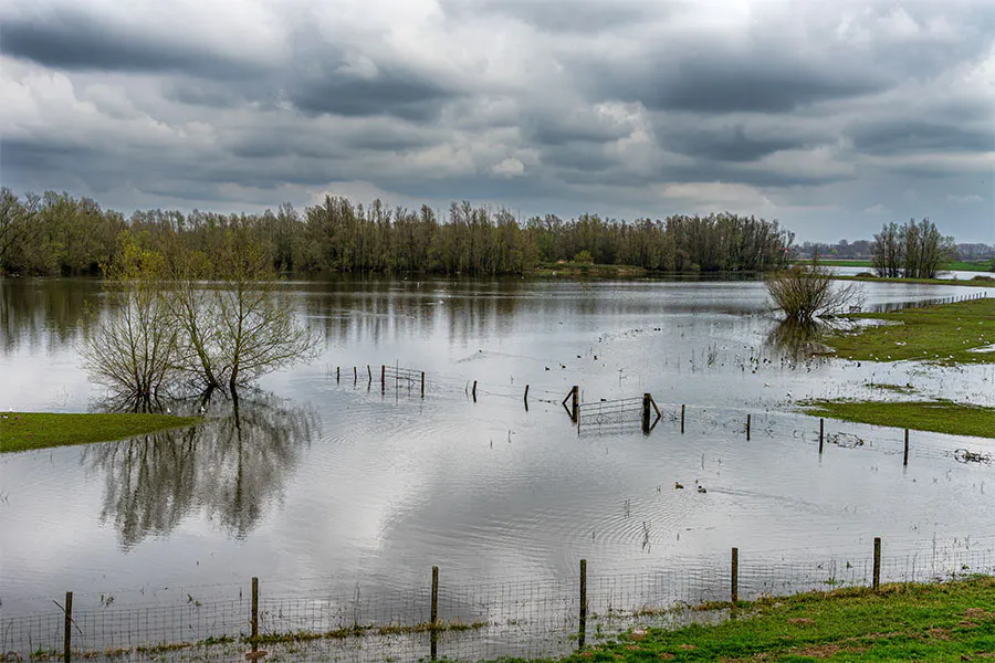 Révision du plan de prévention des risques naturels