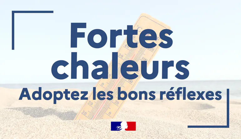 Vague de forte chaleur :  les bons réflexes en cas de fortes températures