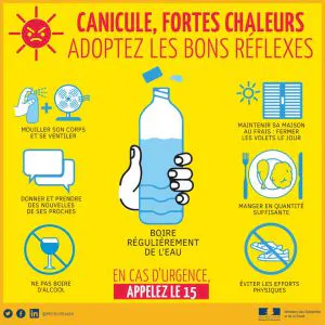 VIGILANCE CANICULE
