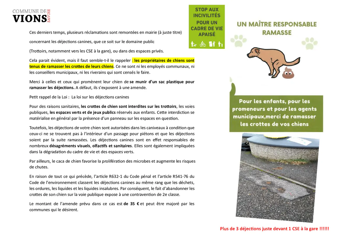 DEJECTIONS CANINES!!!