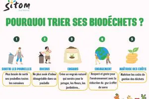 Des aides du SITOM pour l'achat d'un lombricomposteur