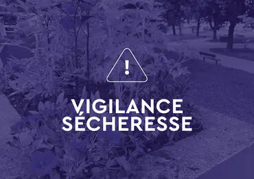 Restrictions d’usage de l’eau, adoptons les bons gestes.