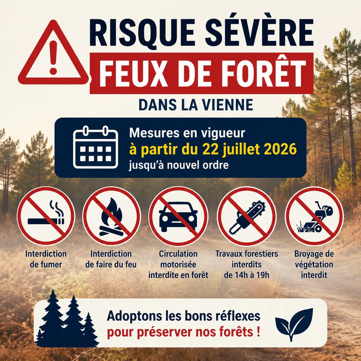 🔥 Vigilance renforcée – Risque sévère de feux de forêt dans la Vienne
